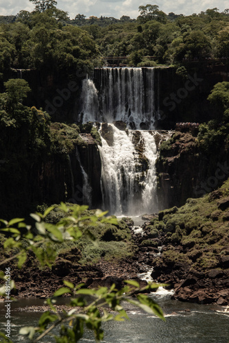 vida en la naturaleza