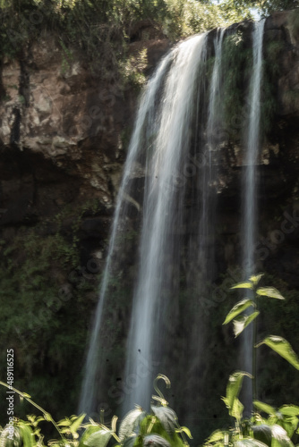 vida en la naturaleza