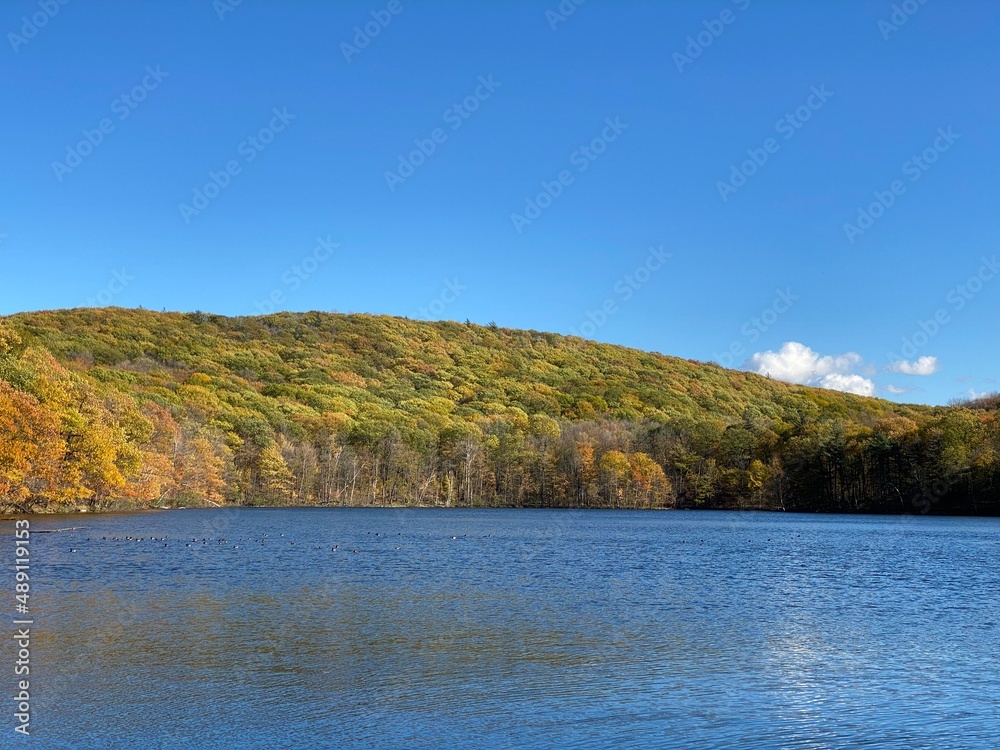Paysage d'une montagne avec des arbres en couleurs qui se découpe sur un ciel bleu presque sans nuage et une belle étendue d'eau. Lac et collines en automne, panorama pittoresque