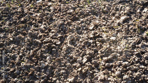 Close-up of dark heavy wet plowed soil, large clumps of soil with roots after excavation. Plowed, textured land.