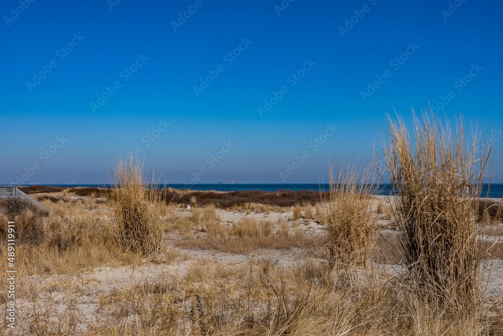 Sandy Hook Dunes on a Winter Day, Gateway National Park, New Jersey, USA Sandy Hook Dunes on a Winter Day, Gateway National Park, New Jersey, USA