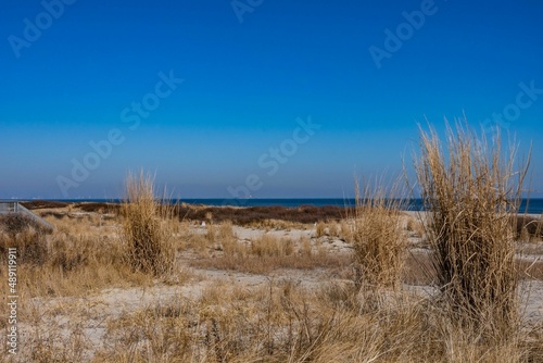 Sandy Hook Dunes on a Winter Day, Gateway National Park, New Jersey, USA