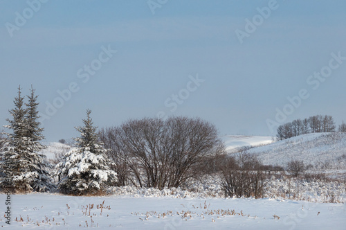 winter landscape with trees and snow © Phil & Karen Rispin