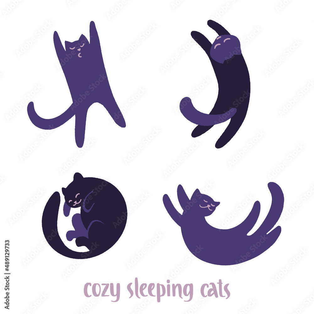 Set of cute and cozy sleeping black cats overhead top view. Set of cute and cozy sleeping black cats overhead top view.