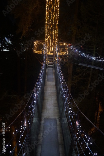 Treewalk bridge nightlights