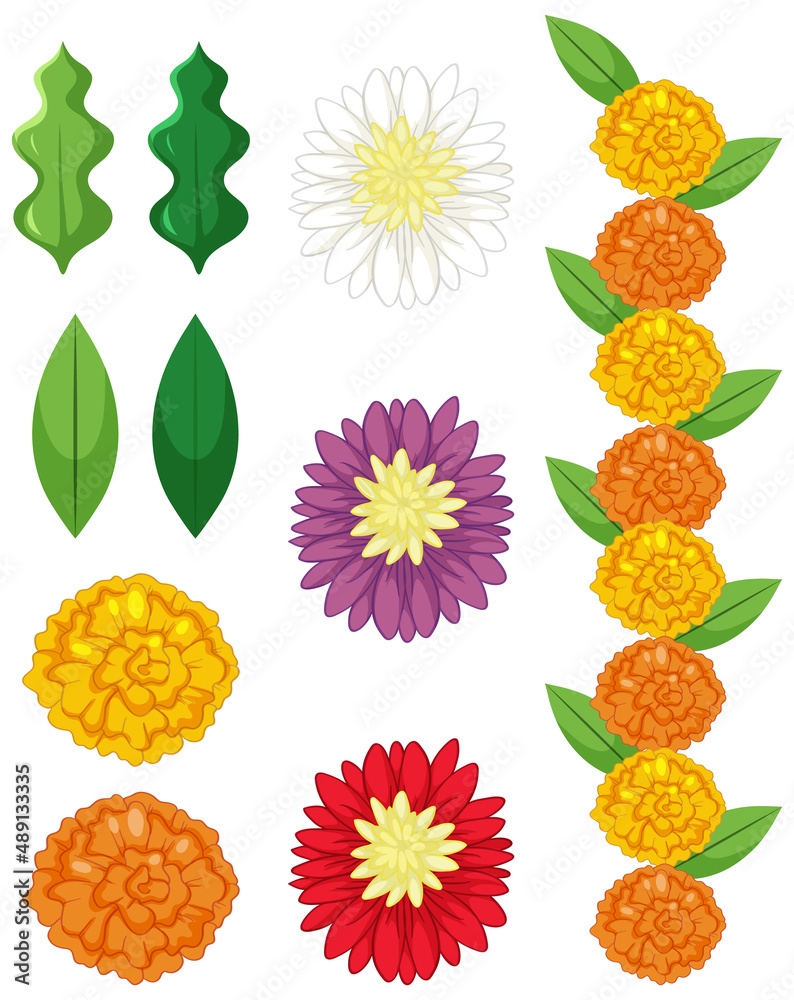 Set of flowers on white background Set of flowers on white background