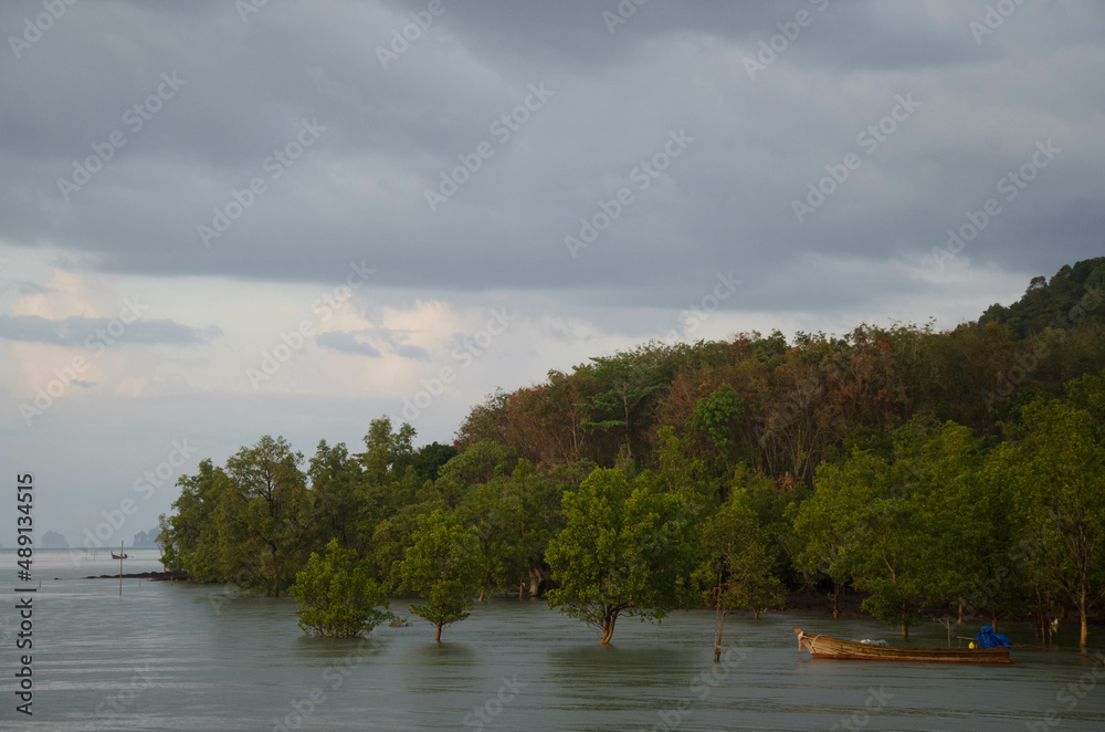 Different Thailand images, streets, markets, temples, buildings, rivers, beaches, and national parks.