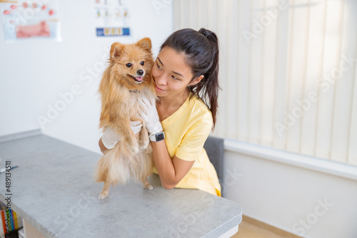 Young female veterinarian taking care of dog in clinic