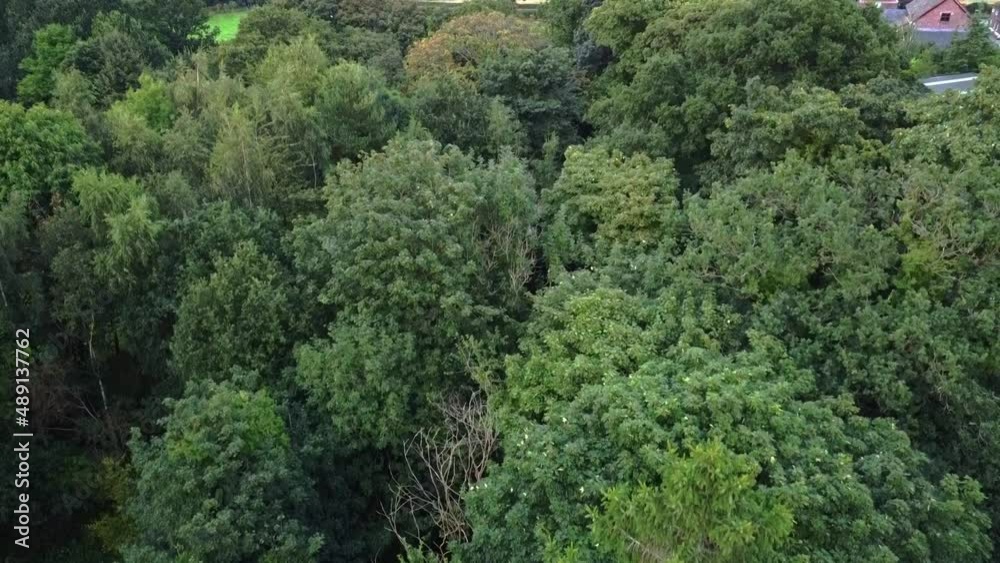 Drone rising shot of green forest with farm house in background Drone rising shot of green forest with farm house in background