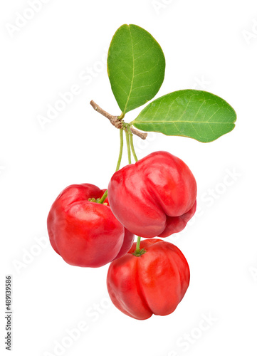 Three Acerola cherry fruits with green leaves isolated on white background.