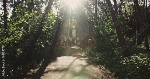 Walking through a green forest in slow motion with sun rays shining at the camera.