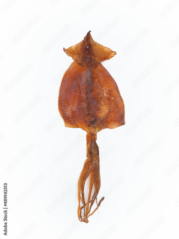 Obraz premium スルメ