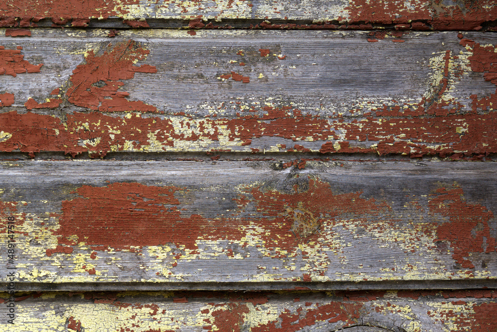 The texture of an old tree with peeling paint. The texture of an old tree with peeling paint.
