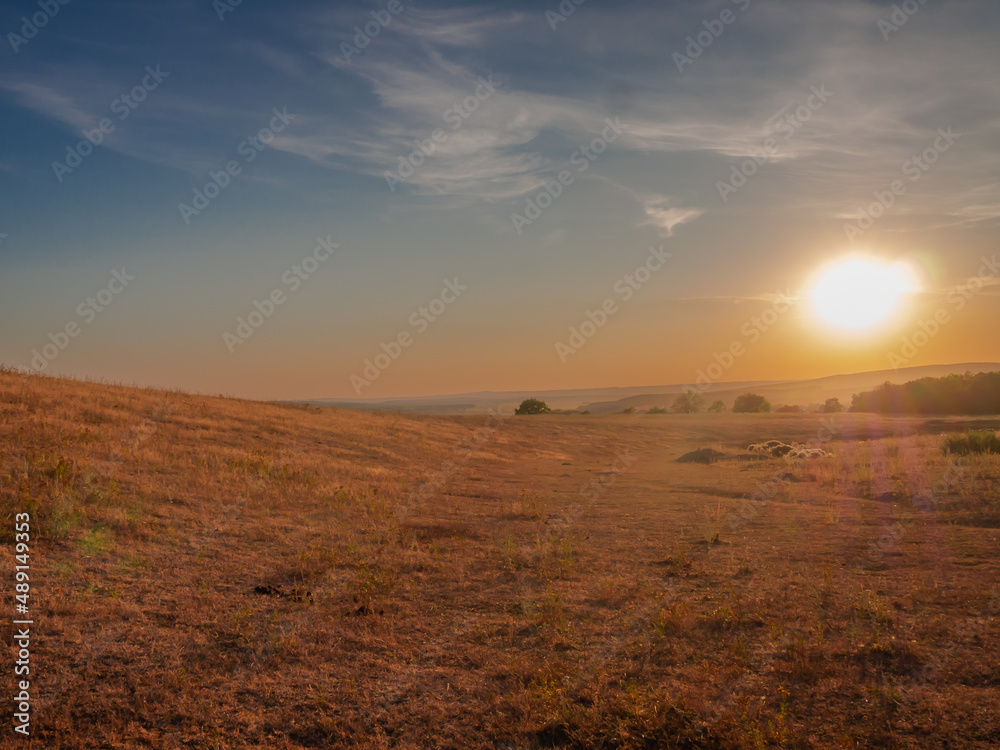Hot sunset in the steppe in summer against the blue sky.