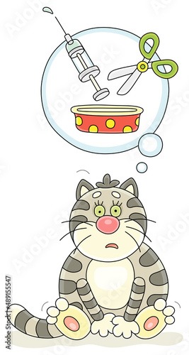 Funny sad cat thinking about sterilization using scissors and a syringe, vector cartoon illustration isolated on a white background photo