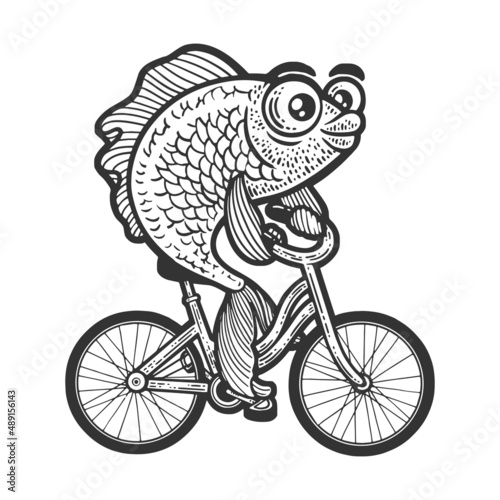 Cartoon fish on bicycle sketch engraving vector illustration. T-shirt apparel print design. Scratch board imitation. Black and white hand drawn image.