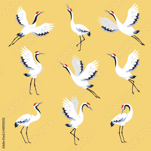 Red Crowned Crane as Long-legged and Long-necked Bird in Different Pose on Yellow Background Vector Set