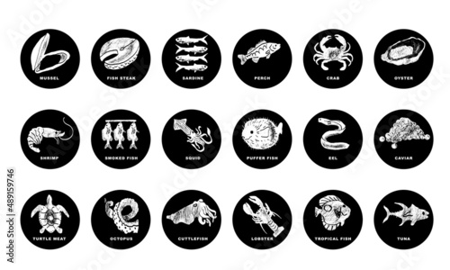 Fishes, arthropods and seafood in a abstract draw design. Simple, flat design. Patterns and backgrounds.