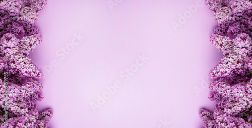 Lilac flowers on color background with frame for text. Spring concept