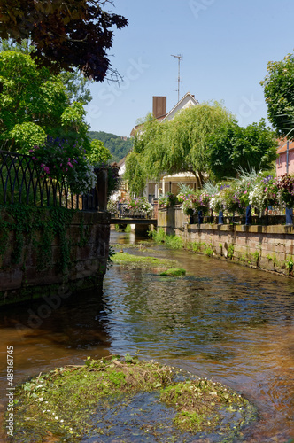 The river in Niederbronn-les-bains during spring, colorful with nice flowers