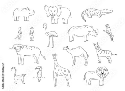 A set of drawings of cute cartoon African animals  vector illustration of a black and white outline of animals for coloring or logo.