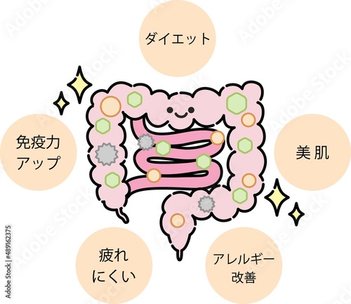 腸内環境のイラスト