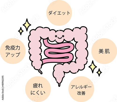 腸内環境のイラスト