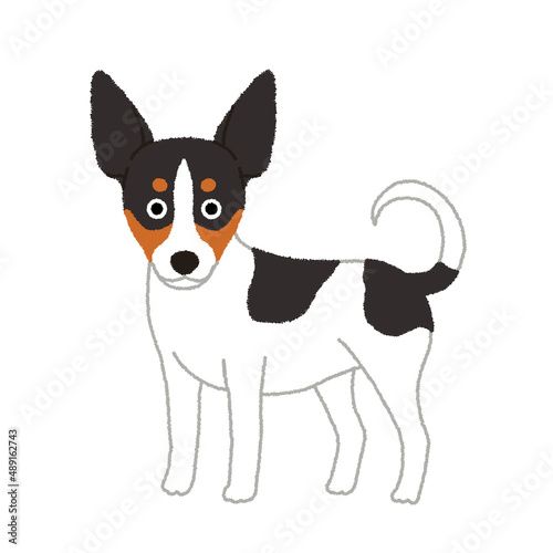 Foto ラットテリアの犬イラスト