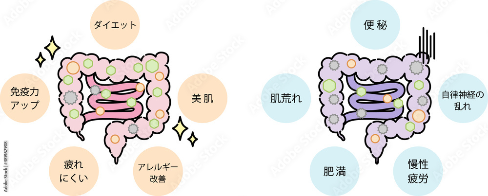 腸内環境のイラスト