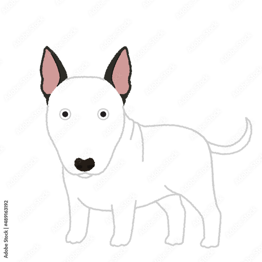 ブルテリアの犬イラスト