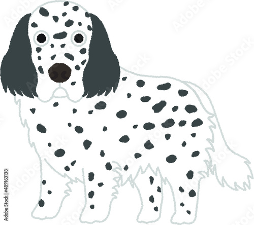 イングリッシュセッターの犬イラスト