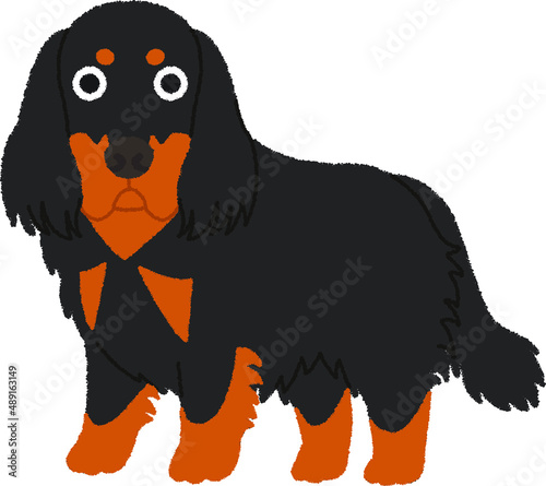 ゴードンセッターの犬イラスト