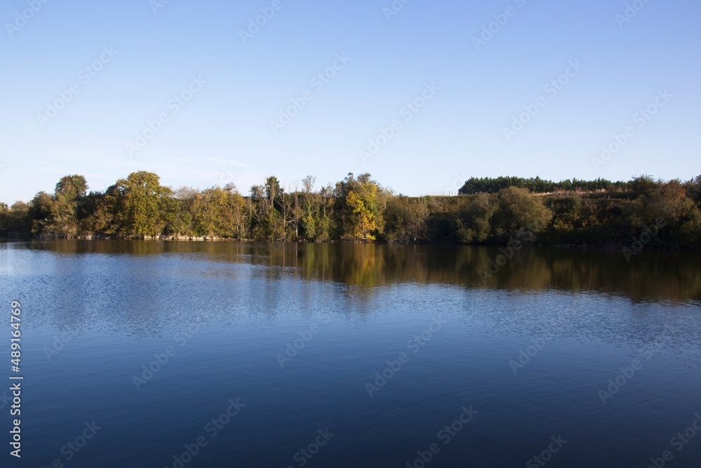 Obraz premium reflection of trees in the water