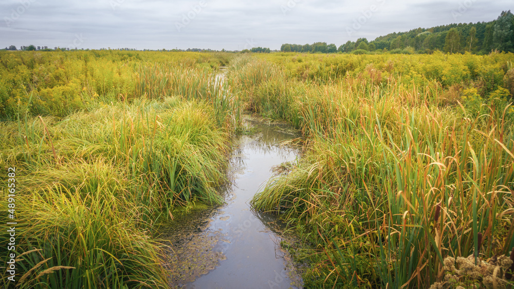 overgrown river among a field of grass overgrown river among a field of grass
