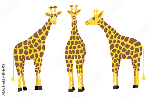 A collection of giraffes in different poses