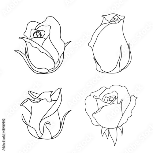 Line art rose flower illustration vector on white background