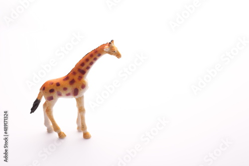 toy giraffe on a white background