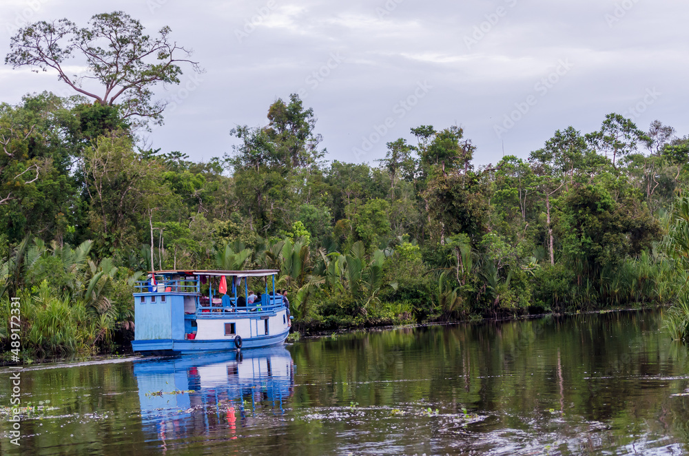 Image of the famous Tanjun Puting National Park, located in Kalimantan, Borneo, Indonesia