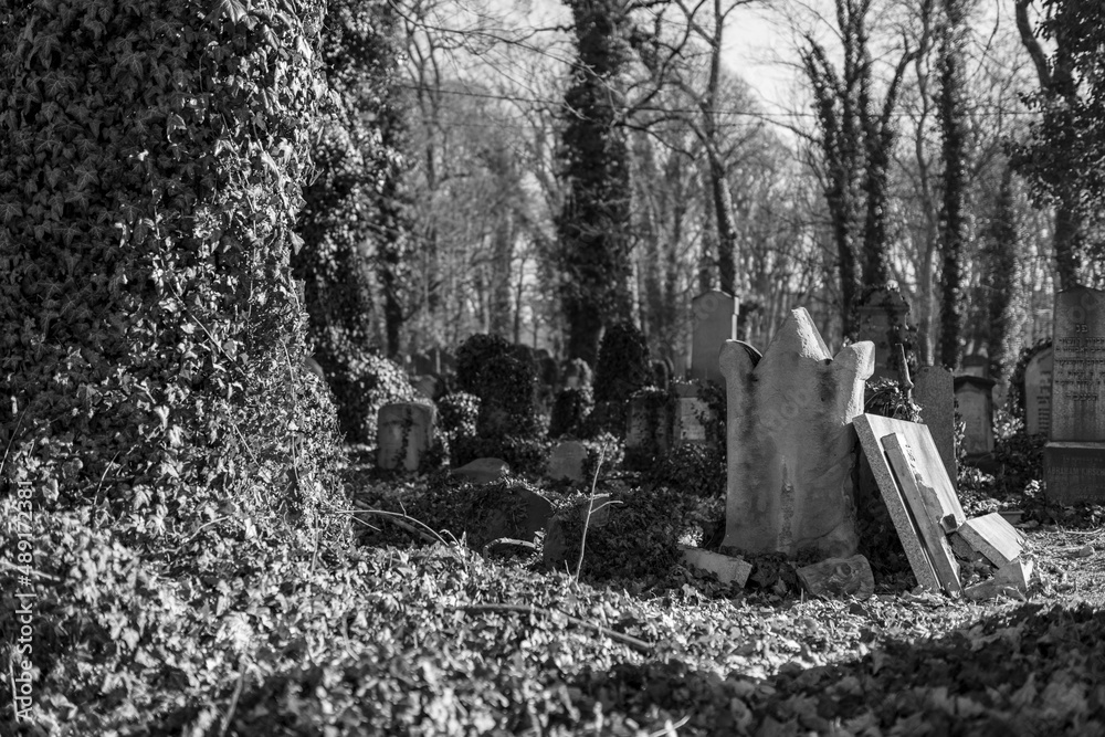 old Jewish cemetery, neglected graves, synagogue in the forest, ivy
