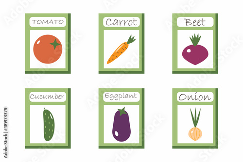 a set of packs of tomato, carrot, beet, cucumber, eggplant, onion seeds vector illustration