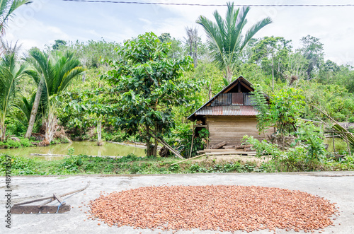 Views in detail of the megalith or Megalitik Palindo, Tadulako, Pokekea, Sleeping, Sepe located in Poso Regency, also rice fields and markets. Sulawesi. Indonesia.

 photo