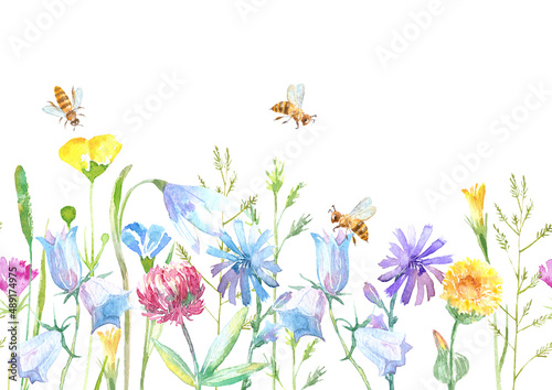 Floral seamless border of a bee, wild flowers and herbs on a white background.Buttercup, clover,bluebell,vetch,timothy grass,lobelia,spike. Watercolor hand drawn illustration. 