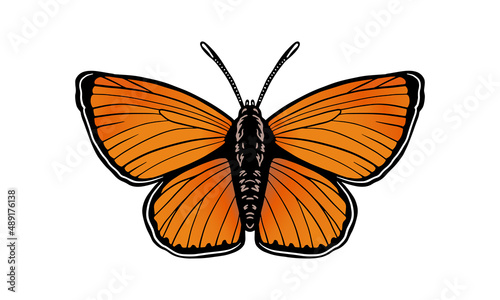 scarce_copper_dark_background