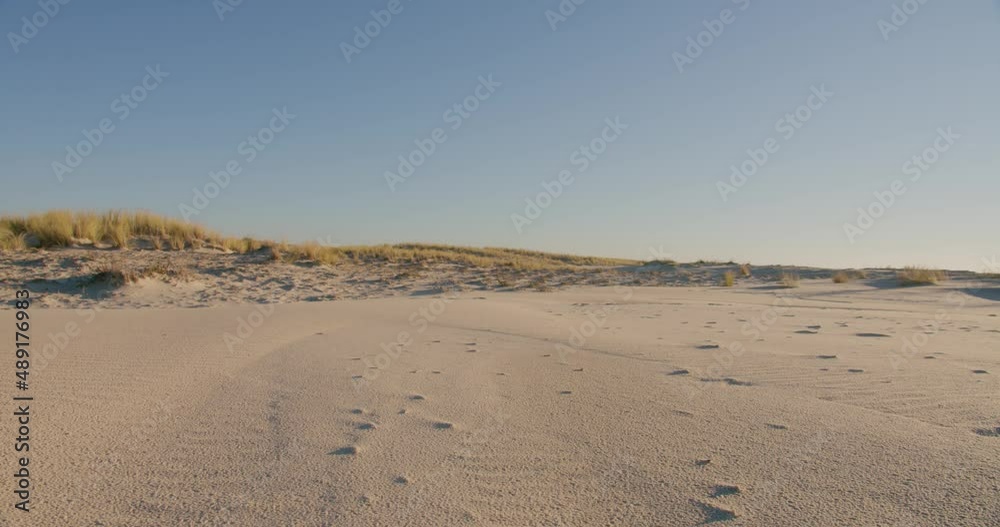 Slow dolly left shot of beach sand with coastal vegetation in background. Low POV Slow dolly left shot of beach sand with coastal vegetation in background. Low POV