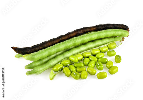Wallpaper Mural Mung beans isolated on white background Torontodigital.ca