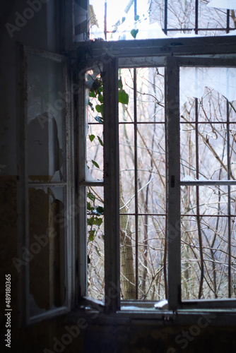 Light in the dark - garden view through the window of creepy abandoned mansion