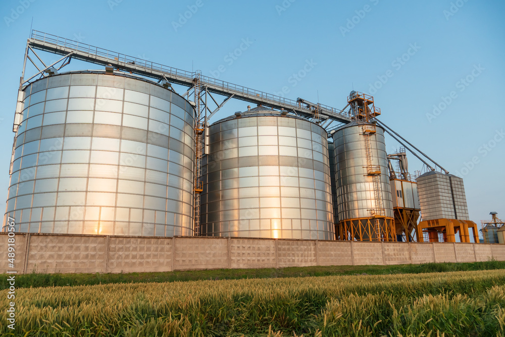 A large modern plant near a wheat field for the storage and processing of grain crops. view of the silver silos illuminated by the light of the setting sun against the blue sky. harvest season A large modern plant near a wheat field for the storage and processing of grain crops. view of the silver silos illuminated by the light of the setting sun against the blue sky. harvest season