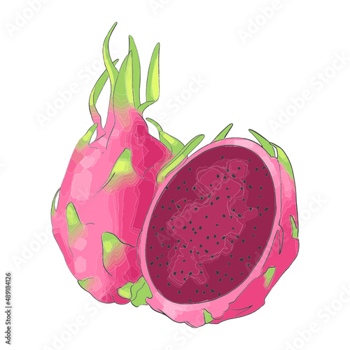 dragon fruit fruit icon illustration