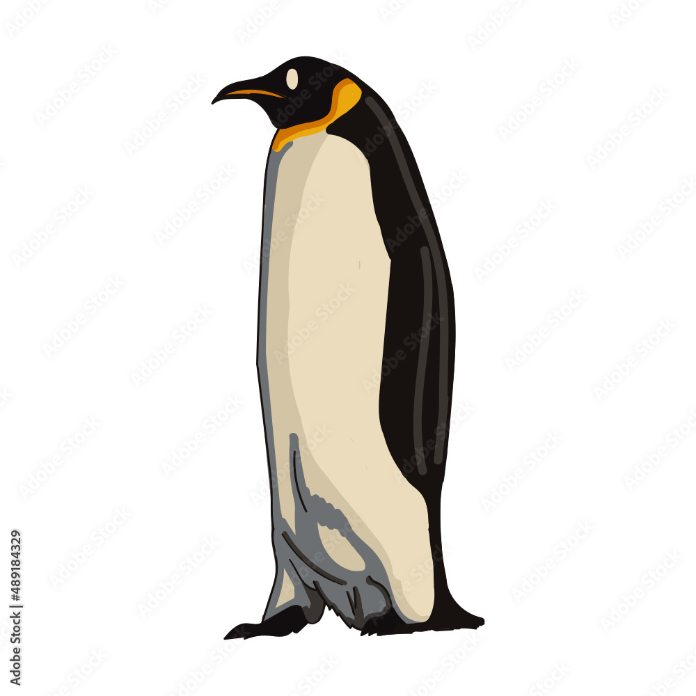 Obraz premium Hand drawn penguin cartoon character illustration Animal.