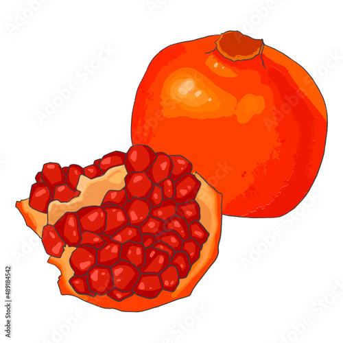 pomegranate fruit icon illustration